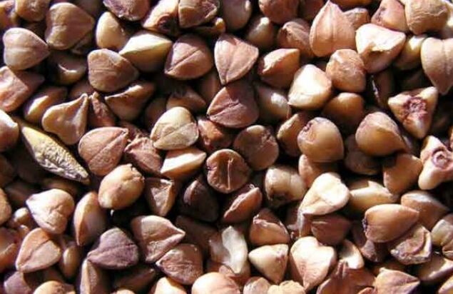 Buckwheat Nukleus